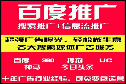搜索引擎营销（SEM）的未来趋势与案例分析